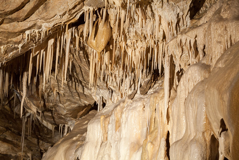 jaskinia niedzwiedzia